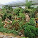 詩가 된 풍경 이미지