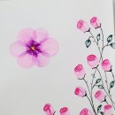 플러스펜수채화 Daum카페