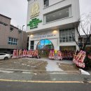 부산강아지분양 테디럽 명지본점 이미지