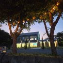 포은로 | 오랜만에 다시 간 영천 카페 스케치 1주년 이벤트까지 후기