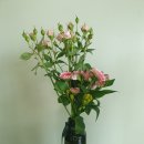 원플라워 이미지