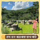 월항면주차공원 | [공지] 성주 여행 세종대왕 왕자 태실 아이와 가볼 만한 곳