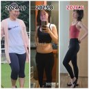 허벌라이프 엑스트라베간자, 2026년 싱가포르 여행후기