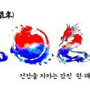 2024 를 청용으로 써본 글 이미지