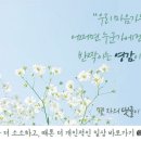 스테이제주작은별 이미지