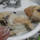 상준농장 이미지