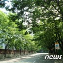 녹음 이미지
