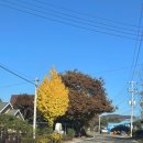 쁘띠 힐링 카라반 이미지