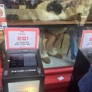 별에서 온 그닭 | "부산먹부림여행" 이재모피자(본점) / 광안리 돌닭 / 고옥 장어덮밥 내돈내산 후기