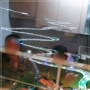 행신당구장 | 원흥 골프 횡성 1박 필드 레슨 여행