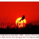 용차이나 이미지