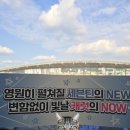 (주)진성에스엠알 | 무대 위에 있는 남자들이랑 결혼하고 싶어