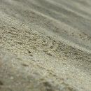 몽산포 해변 이미지