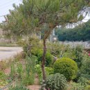 퇴촌한의원 이미지