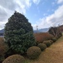 청도강변돌고래펜션 이미지