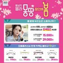 봄봄안경 이미지