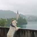 용신에너지 이미지