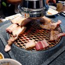 녹돼야지