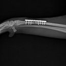 태백동물병원 이미지