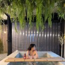 스테이호안 이미지