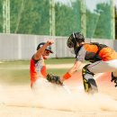 [단독] ‘취업사기’ 독립야구단 이사, 이번엔 전지훈련비 횡령 및 임금체불로 잠적 이미지