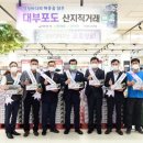 대부 이미지