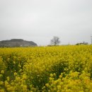 바다와하얀등대 이미지