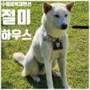 절미하우스