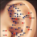 이혈요법 이미지