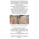 천년누리전주빵카페 | 기념품 추천 놀면뭐하니 황박사목포쫀디기 / PNB 풍년제과 미니 초코파이 세트 / 천년누리 전주빵카페