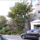지에스25심곡그린 네이버블로그