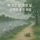 방수1길 | 장마철 흐린 날에도 산책이 필요한 이유 소양강1길 후기