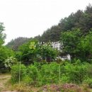 조현리 조현길 이미지