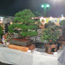 오성헬스크럽 이미지