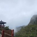 리더스정형외과 네이버블로그