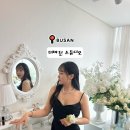 놀스튜디오 - 화성시 동탄순환대로12길 12 | [해운대 브라이덜샤워 파티룸 추천] 광안리 근처 오션뷰 더마린스튜디오 내돈내산 후기