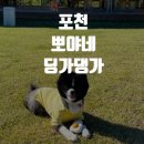 뽀야네딩가댕가 이미지