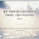 자라다 - 용산구 한강대로 135 | 자라다