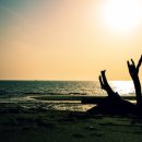 태평목장 이미지