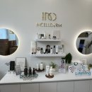 인셀덤퀸(QUEEN) 이미지