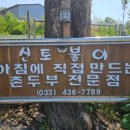 신토두부