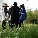 시립청림어린이집 Daum카페