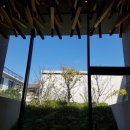 공인씨엠번역행정사 사무소 이미지