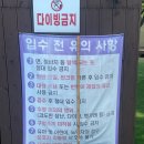 올림피아 수영장 | 취사 가능하고 어린이들 체력 속 빼놓는 올림피아 야외 수영장 #자리 선정 꿀팁 #서울 근교 여름 휴가 추천