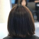 아리아헤어 이미지