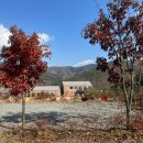 세이지힐 오토캠핑장 이미지