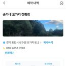 송가네 오가리캠핑장 이미지