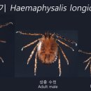 132 이미지