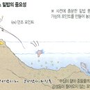 한방낚시 이미지