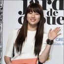 타이거수지